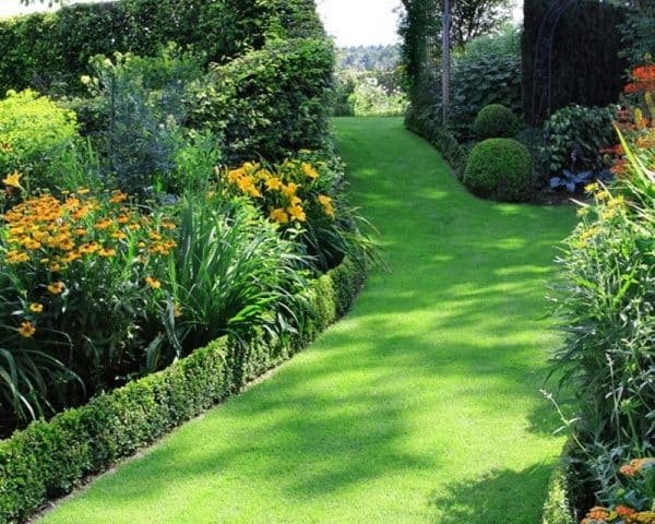 Thiết kế thảm cỏ sân vườn