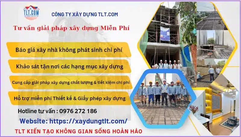 Xây dựng TLT, nhà thầu sở hữu đội ngũ nhân sự vô cùng chuyên nghiệp